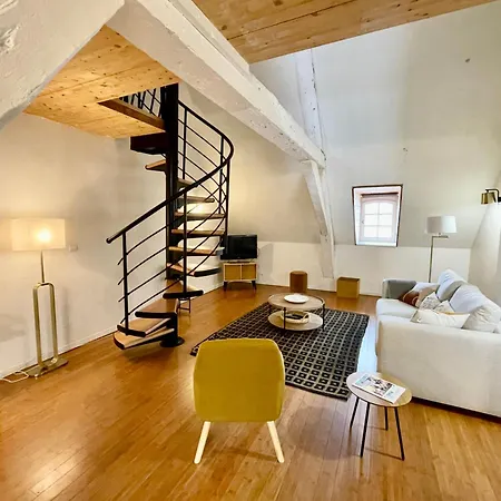 Beau Duplex Centre דירה