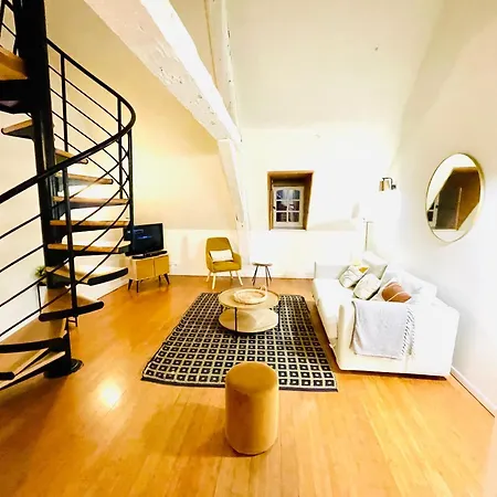 Beau Duplex Centre דירה