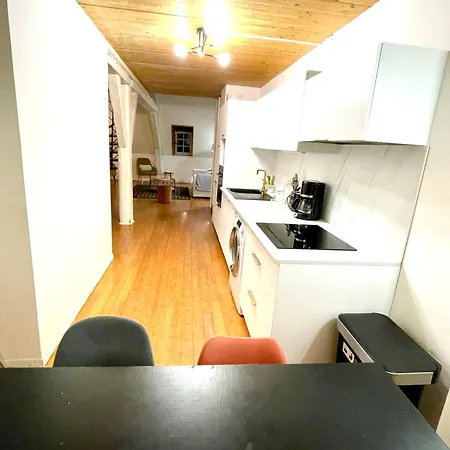 Beau Duplex Centre דירה *